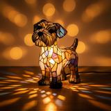 Terrier Éclatant