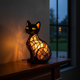 Chat de Minuit Éblouissant