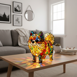 Pomeranian vivant