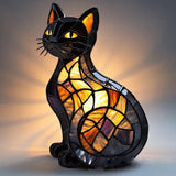 Chat Éclatant de Minuit