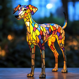 Whippet Éclatant
